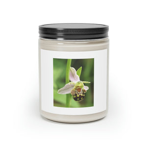 Scented Candle, 9oz