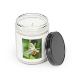 Scented Candle, 9oz